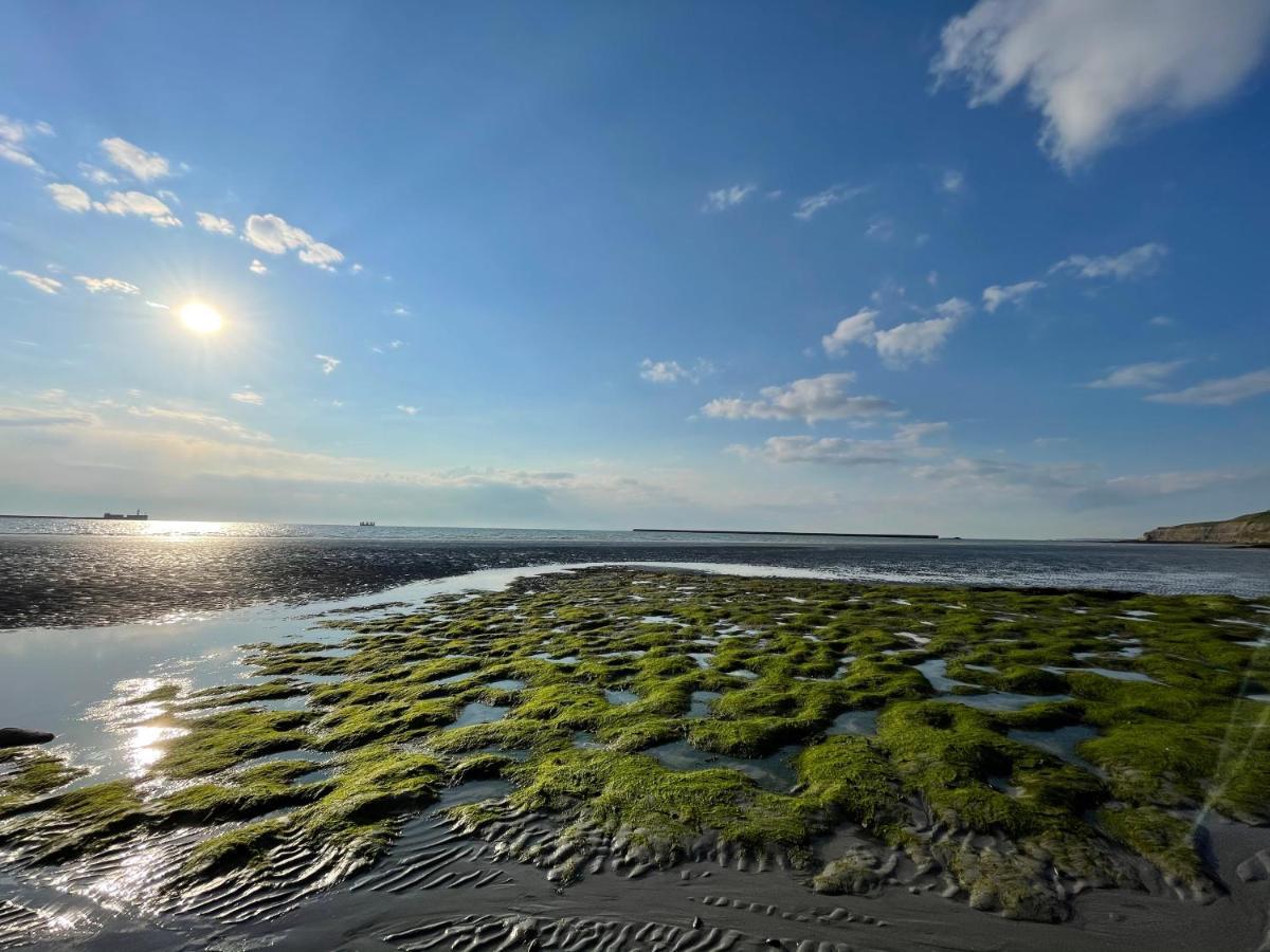 Superbe Vue Mer Face A Nausicaa Boulogne-sur-Mer Buitenkant foto
